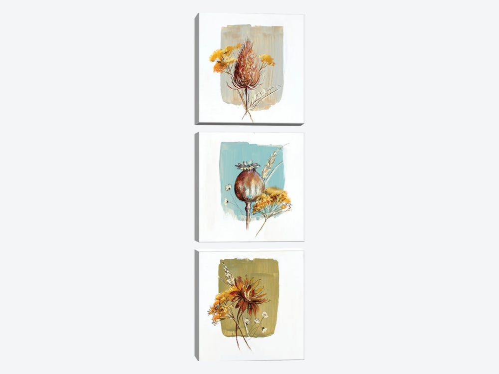 Garden Diary Seed Heads by Nel Whatmore 3-piece Canvas Art Print