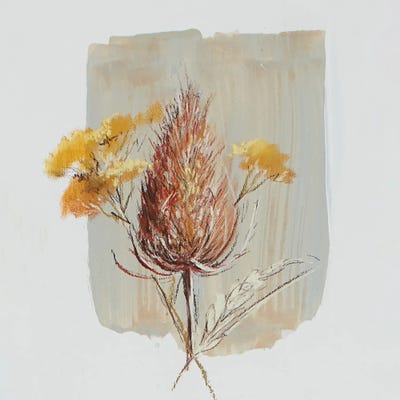 Garden Diary Seed Heads I by Nel Whatmore art print