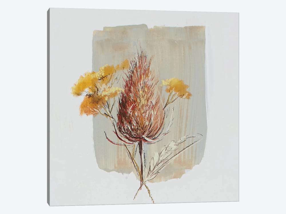 Garden Diary Seed Heads I by Nel Whatmore 1-piece Canvas Artwork
