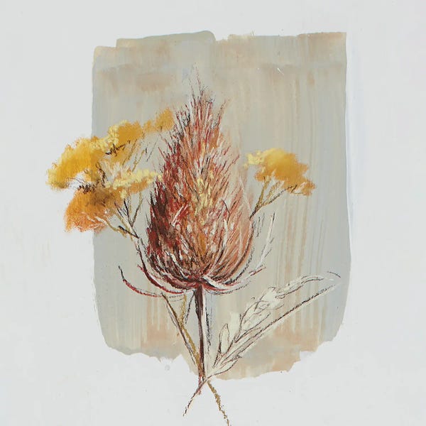 Garden Diary Seed Heads I