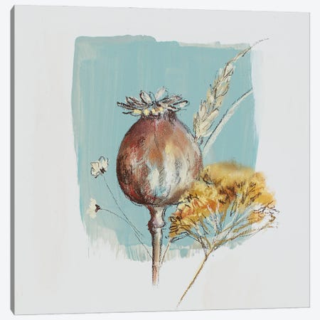 Garden Diary Seed Heads II Canvas Print #NWM153} by Nel Whatmore Canvas Wall Art