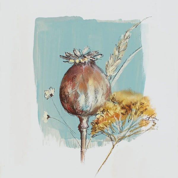 Botanical Illustrations: Garden Diary Seed Heads II by Nel Whatmore