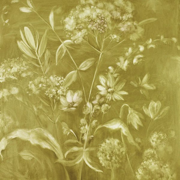 Grasses: Meadowlands Green by Nel Whatmore