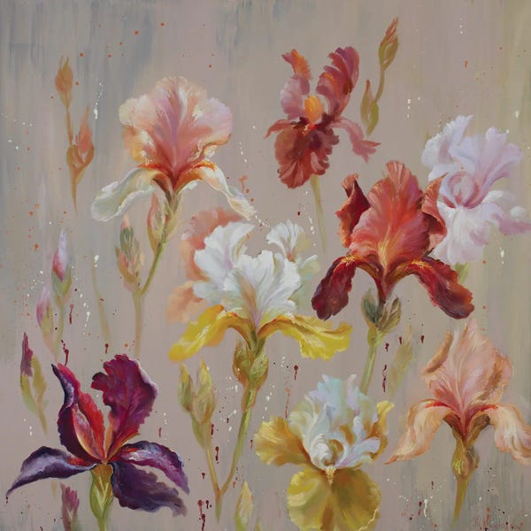 Irises: Pride And Joy by Nel Whatmore