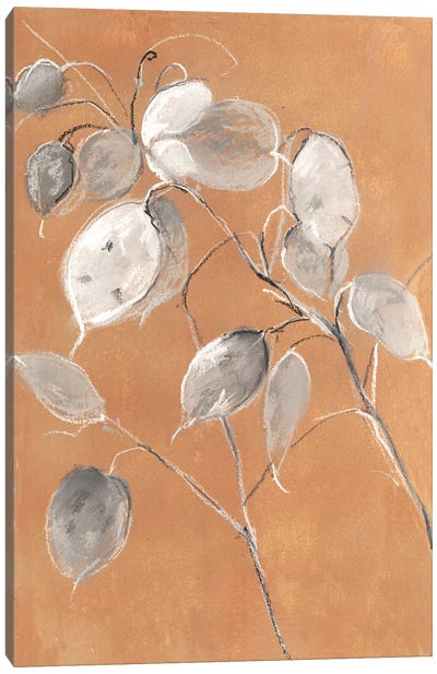 Sketchbook Honesty Canvas Art Print - Botanical Illustrations