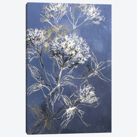 Sketchbook Hydrangea Canvas Print #NWM168} by Nel Whatmore Canvas Art Print
