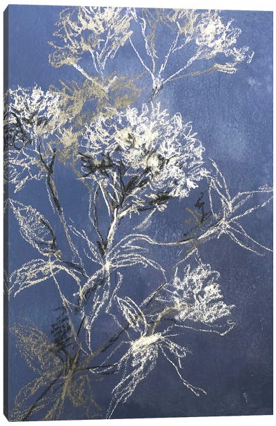 Sketchbook Hydrangea Canvas Art Print - Hydrangea Art