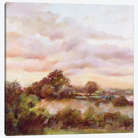 Dusk Comes Quietly Canvas Print #NWM16} by Nel Whatmore Art Print