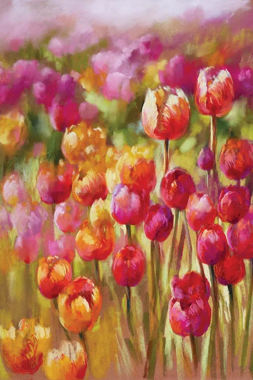 Tulip Sea