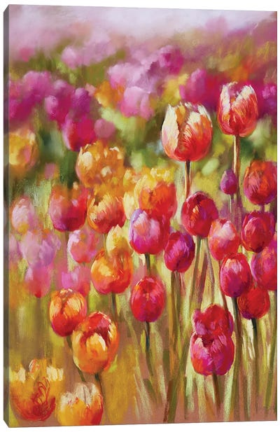 Tulip Sea Canvas Art Print - Nel Whatmore