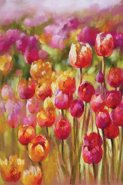 Tulips: Tulip Sea by Nel Whatmore