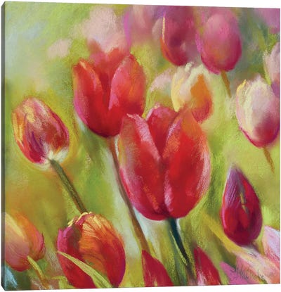 A Little Dutch II Canvas Art Print - Tulip Art
