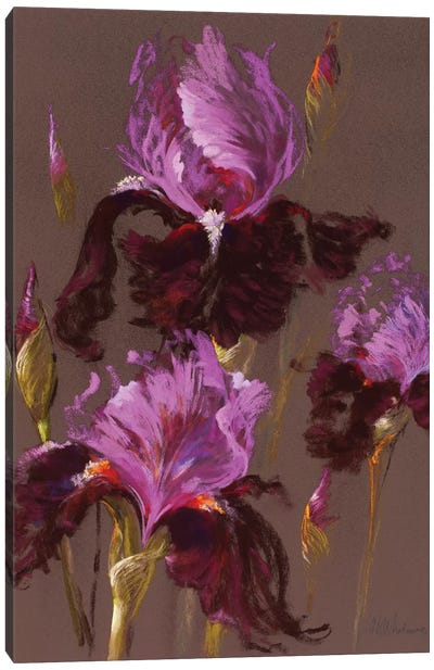 Fleur-de-lis Canvas Art Print - Iris Art