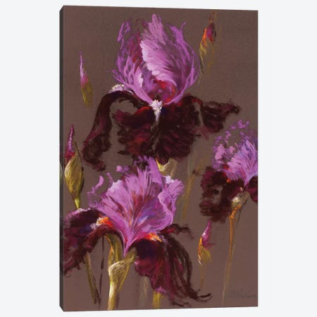 Fleur-de-lis Canvas Print #NWM20} by Nel Whatmore Art Print