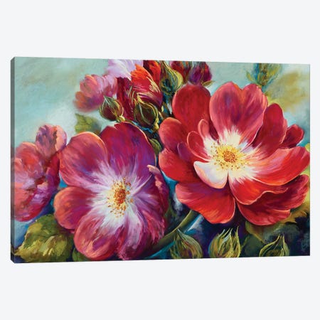 Greeting Rose From National Rose Collection Canvas Print #NWM25} by Nel Whatmore Canvas Art