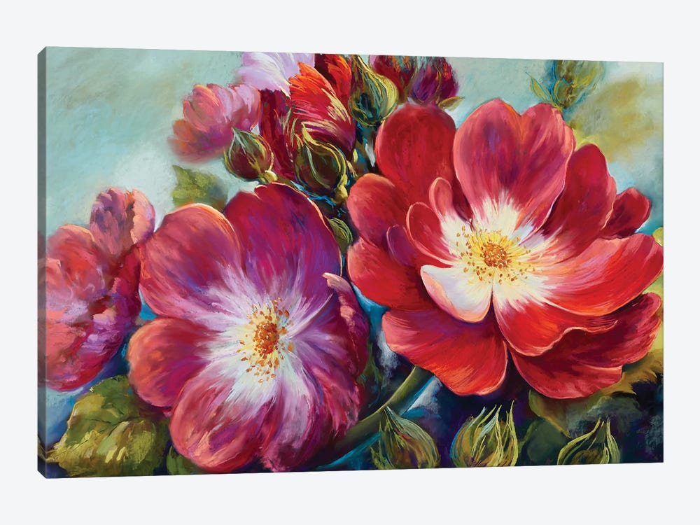 Greeting Rose From National Rose Collection by Nel Whatmore 1-piece Canvas Print