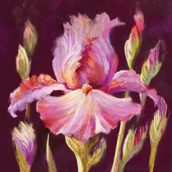 Irises: Her Arms Unfurled II by Nel Whatmore