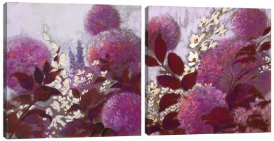 Pom-Poms Diptych Canvas Art Print - Allium Art