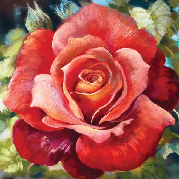 Roses: Hot Chocolate by Nel Whatmore