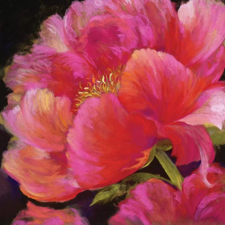 Hot Pink by Nel Whatmore wall art