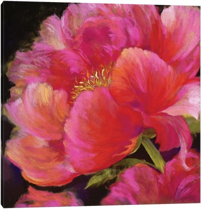Hot Pink Canvas Art Print - Large Floral & Botanical Art