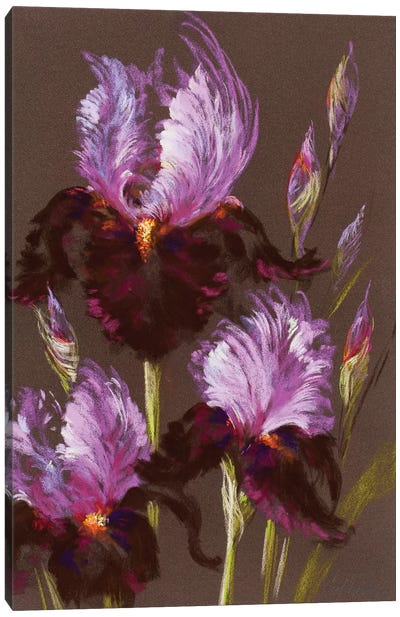 Iris Moonlight Canvas Art Print - Nel Whatmore
