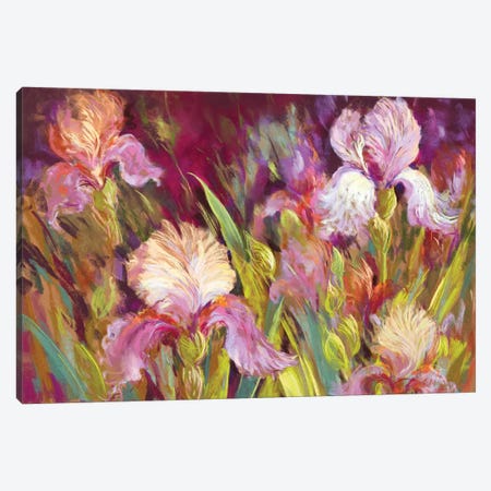 Irises All Day Canvas Print #NWM38} by Nel Whatmore Canvas Artwork