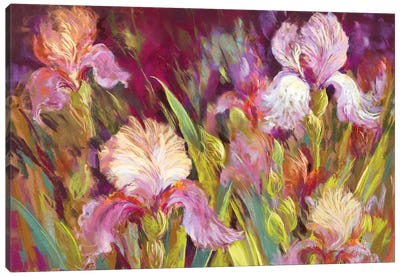 Irises All Day Canvas Art Print - Nel Whatmore
