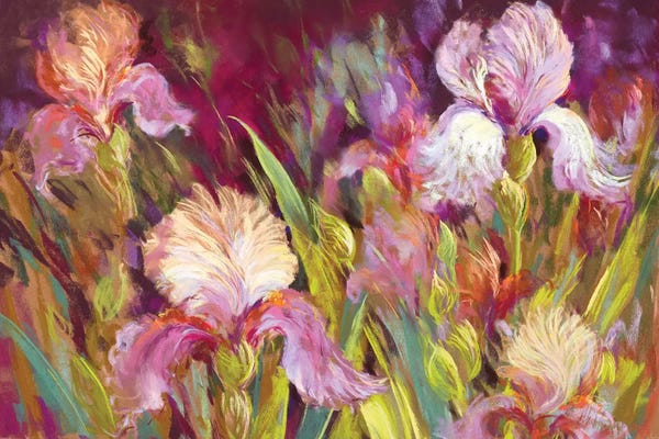 Irises: Irises All Day by Nel Whatmore