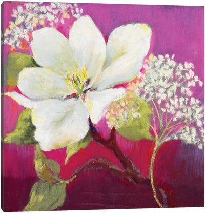 Apple Blossom I Canvas Art Print - Nel Whatmore