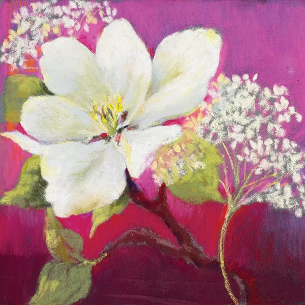 Apple Blossoms: Apple Blossom I by Nel Whatmore