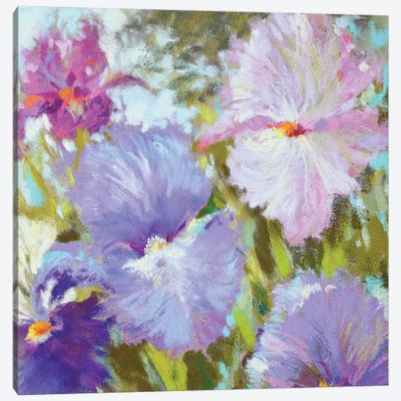 Little Irises Canvas Print #NWM42} by Nel Whatmore Canvas Print
