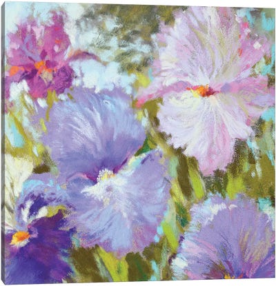 Little Irises Canvas Art Print - Nel Whatmore
