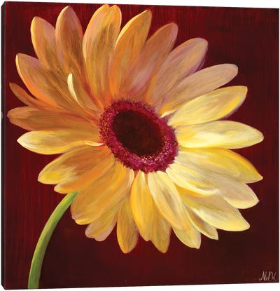 Little Miss Sunshine I Canvas Art Print - Daisy Art