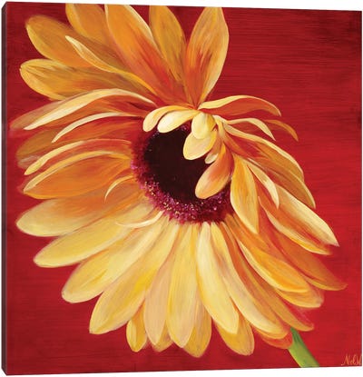 Little Miss Sunshine II Canvas Art Print - Daisy Art