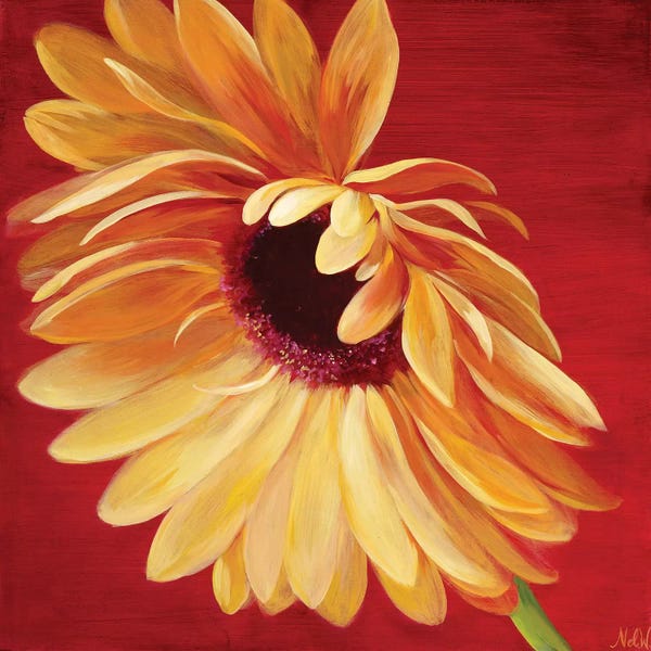 Floral Close-Ups: Little Miss Sunshine II by Nel Whatmore