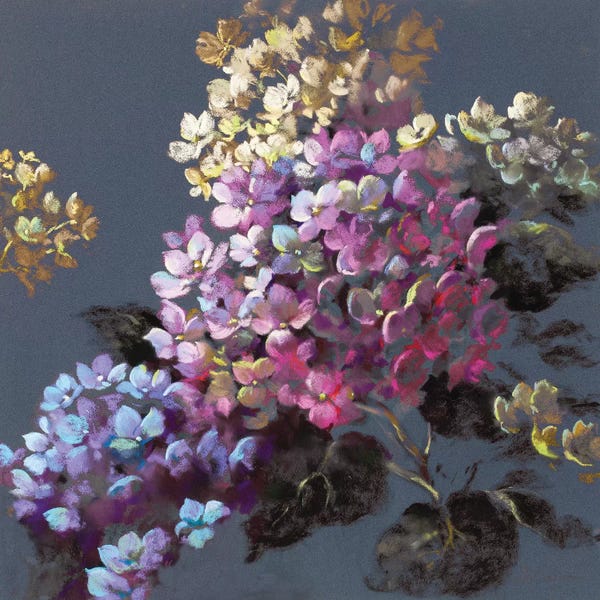 Hydrangeas: Moonlight I by Nel Whatmore