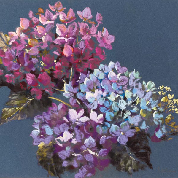 Hydrangeas: Moonlight II by Nel Whatmore