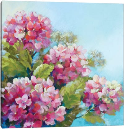 Perfect Pink Clouds Canvas Art Print - Hydrangea Art