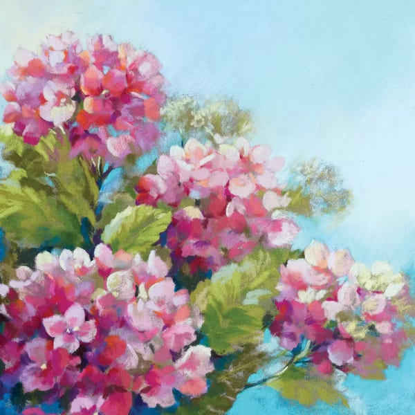 Hydrangeas: Perfect Pink Clouds by Nel Whatmore