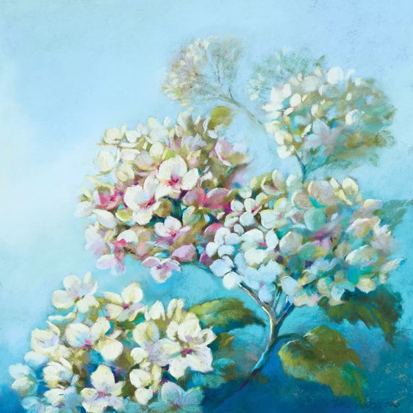 Hydrangeas: Perfect White Clouds by Nel Whatmore