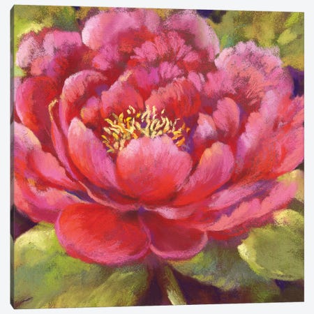 Petal Chalice Canvas Print #NWM58} by Nel Whatmore Canvas Art