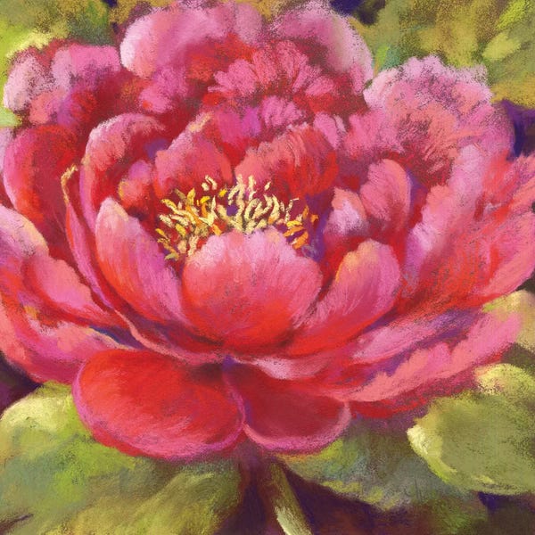 Floral Close-Ups: Petal Chalice by Nel Whatmore