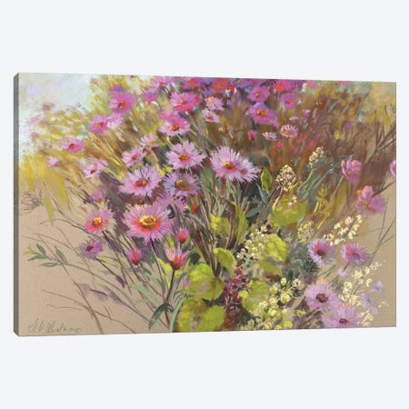 Pink Cloud Canvas Print #NWM59} by Nel Whatmore Canvas Artwork