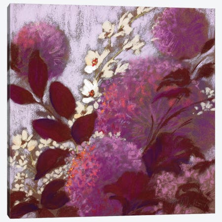 Pom-Poms II Canvas Print #NWM62} by Nel Whatmore Canvas Print