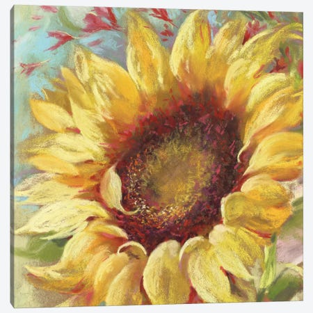 Sunny Canvas Print #NWM77} by Nel Whatmore Canvas Print