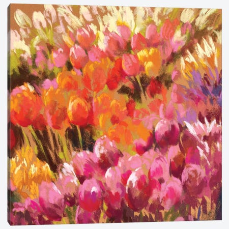 Tantalising Tulips Canvas Print #NWM81} by Nel Whatmore Art Print
