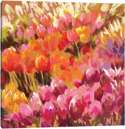 Tantalising Tulips Canvas Art Print - Orange Art