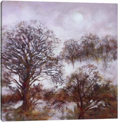 The Beauty Of A Misty Morning Canvas Art Print - Nel Whatmore