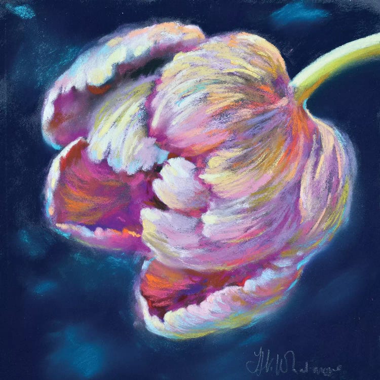 Bow Of The Head by Nel Whatmore wall art